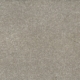 Pebble