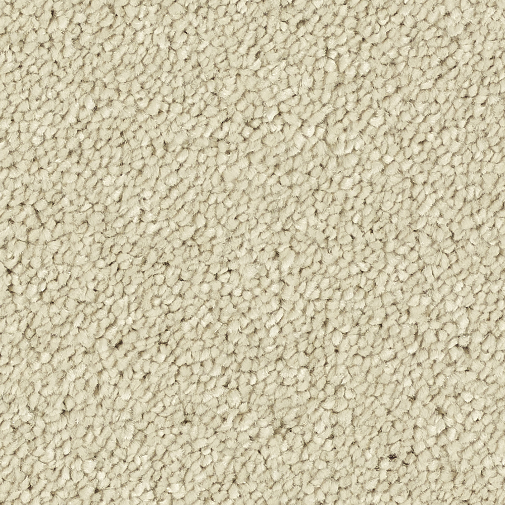 Likewise Stainfree Caress Carpet