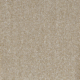 Forest Sand