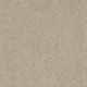 Sand Dune