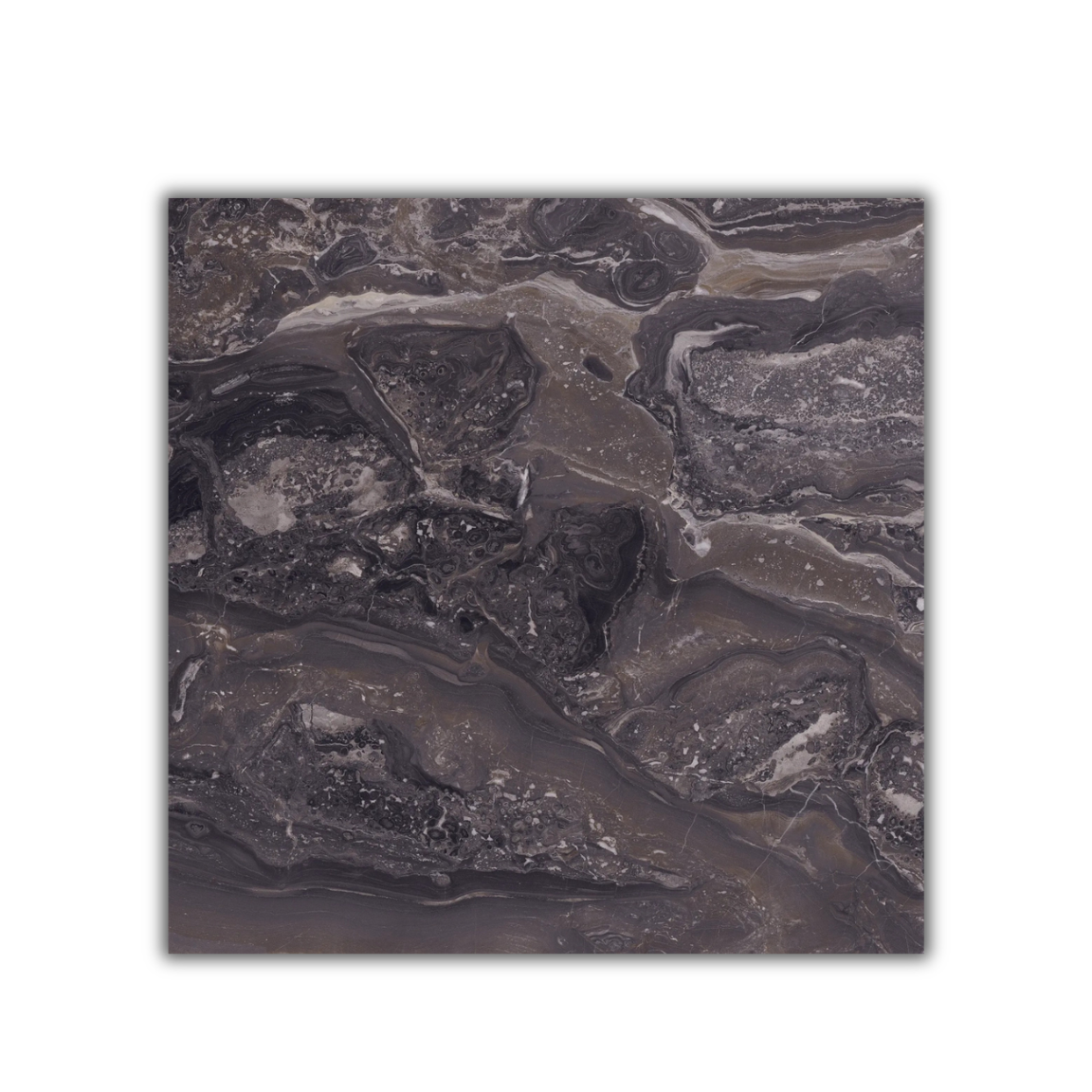 Aesthetica Arabescato Orobico Brown - Image 4