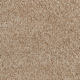 Tropical Sand