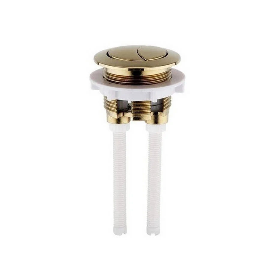 Brushed Brass Cistern Push Button