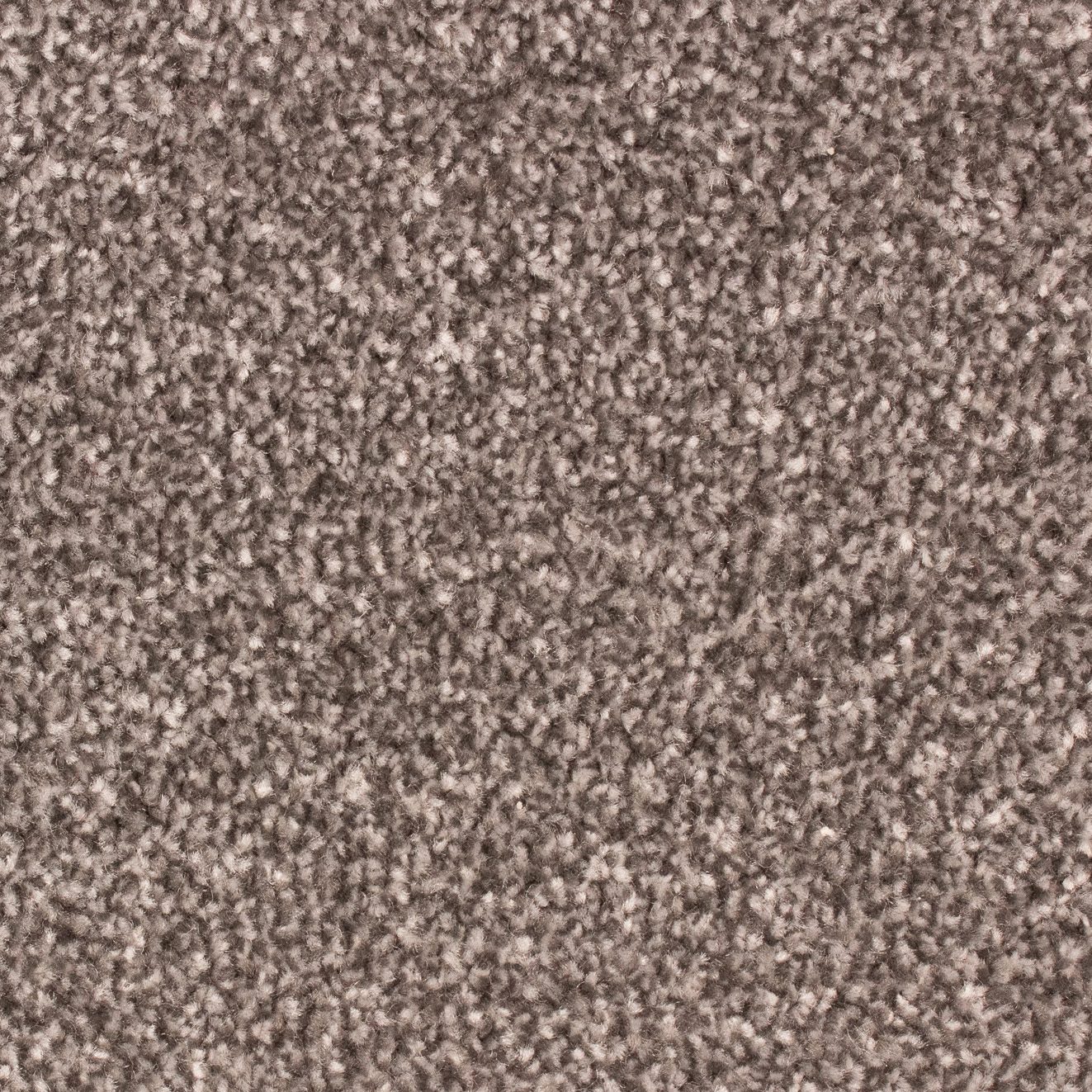 Likewise Montego Heavy Felt