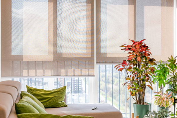 Blinds & Curtains