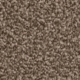 Bark