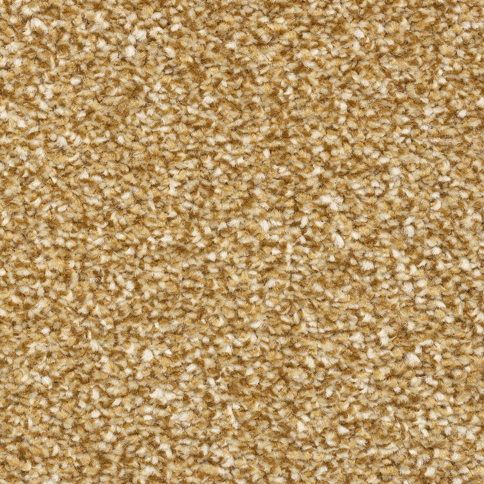 Likewise Zanzibar Deluxe