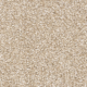 Biscuit Beige