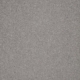 Seagull