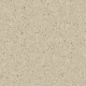 Caribou