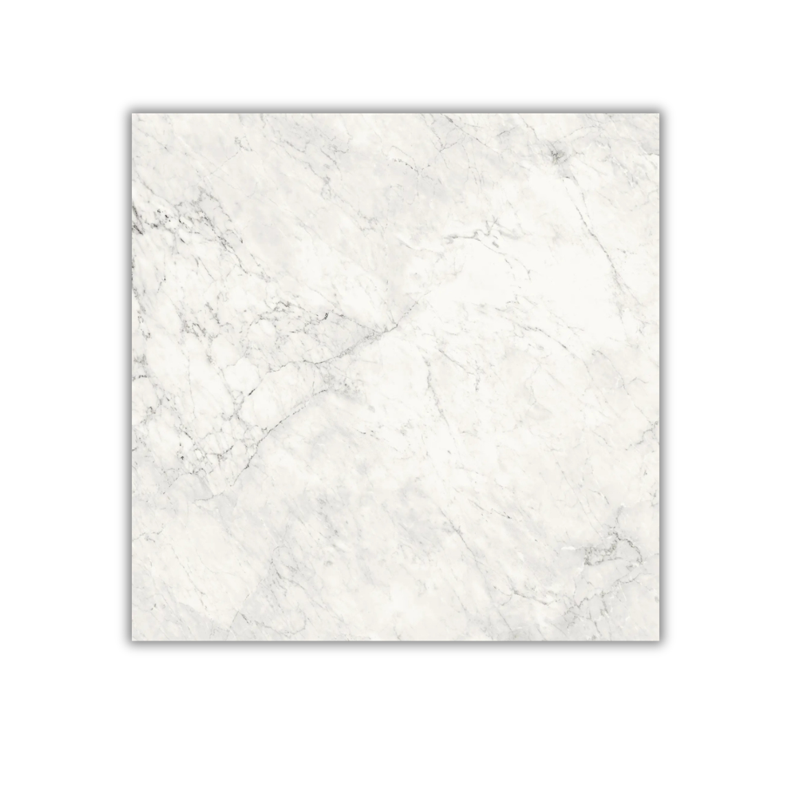Aesthetica Calacatta Extra White - Image 4