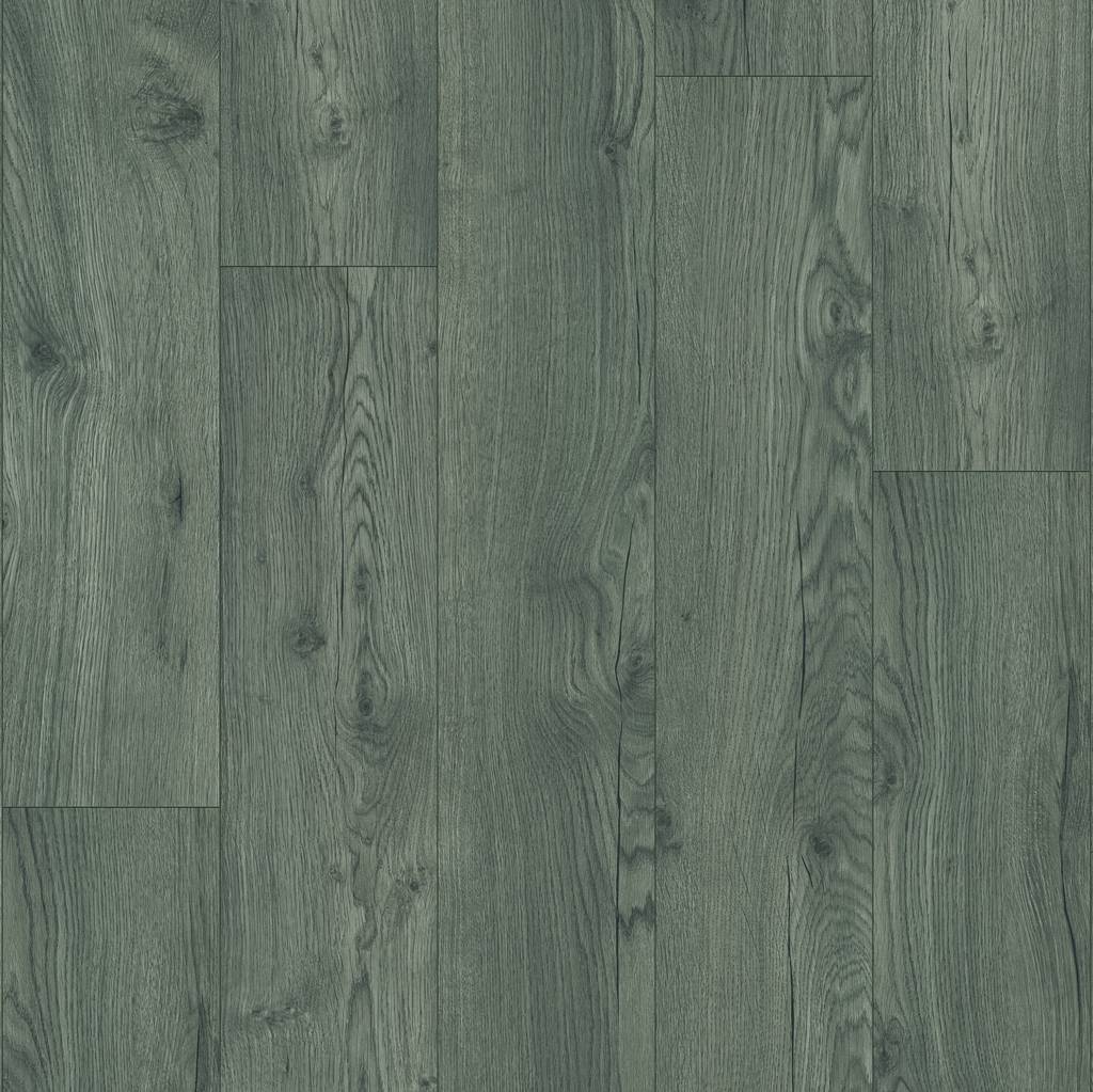 Likewise Daintree Century Oak