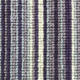Carnival Stripe