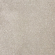Fortune