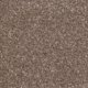 CORK OAK
