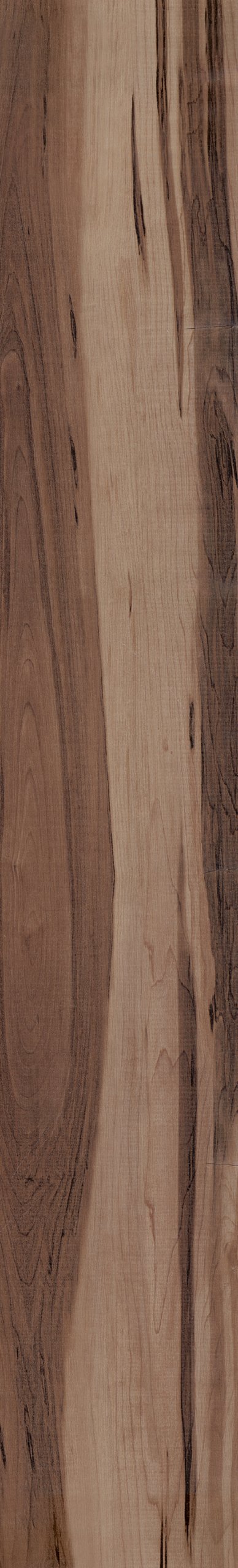 Polyflor Affinity255 PUR Smoked Walnut