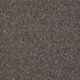 CARBON