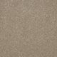 CAMBRIAN STONE