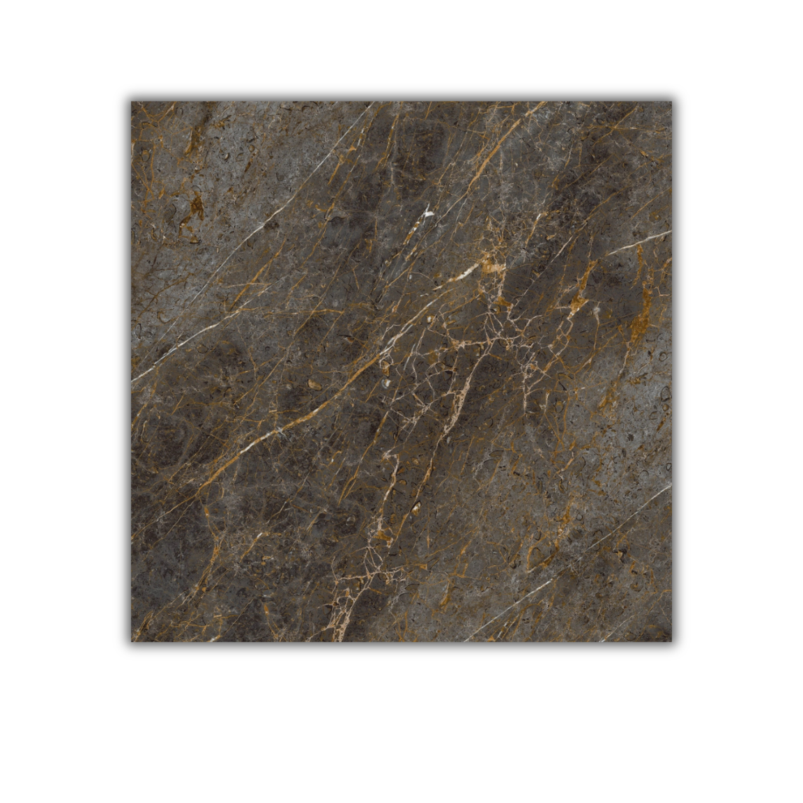 Aesthetica Golden Black - Image 4