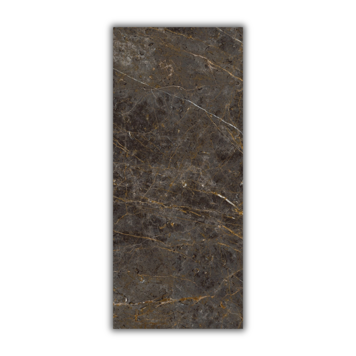 Aesthetica Golden Black - Image 5