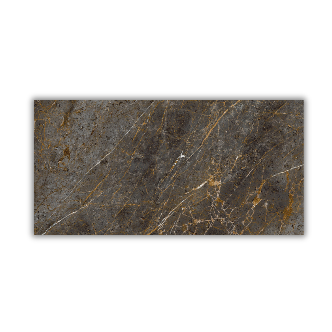 Aesthetica Golden Black - Image 3