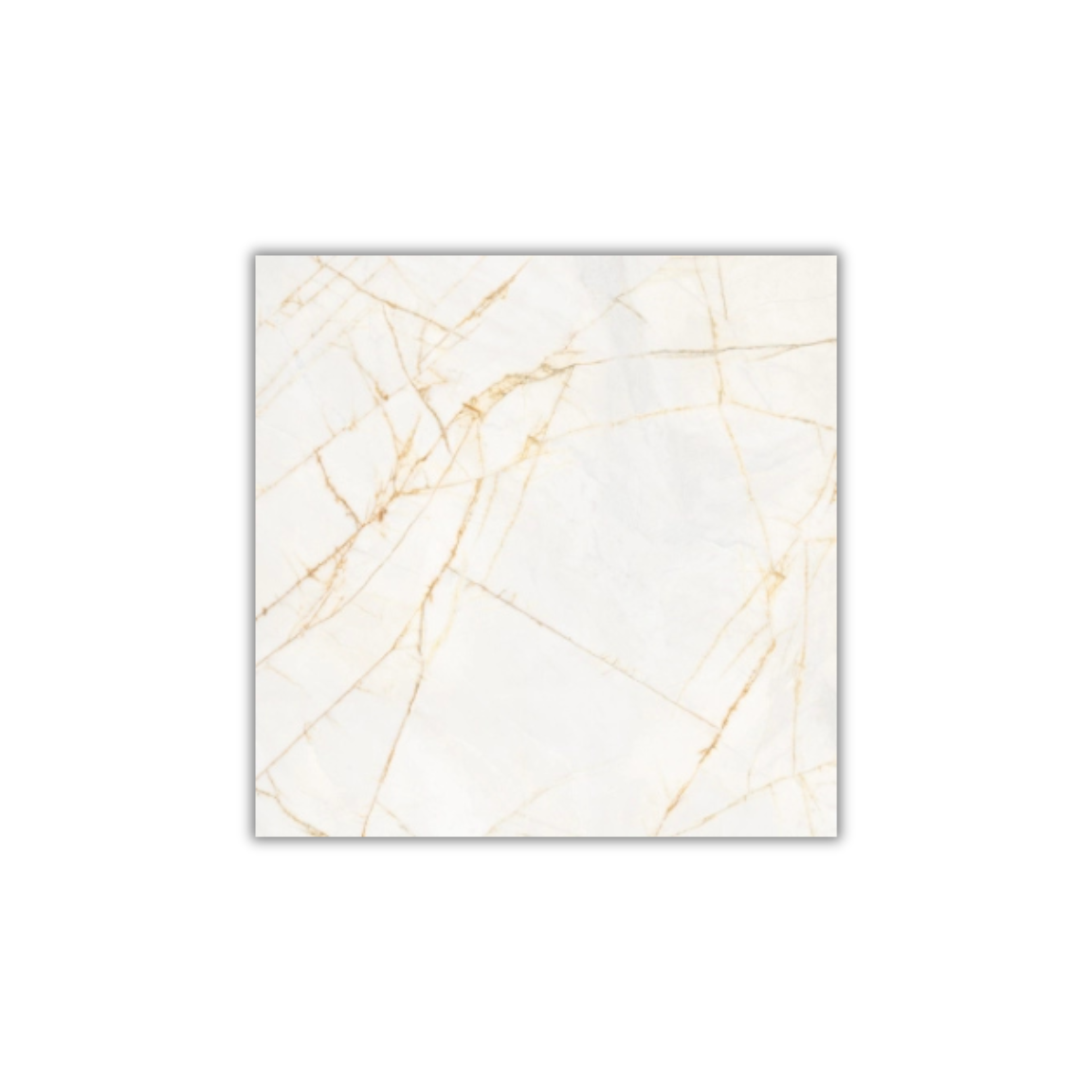 Supreme Hedonism Golden Spider - Image 7