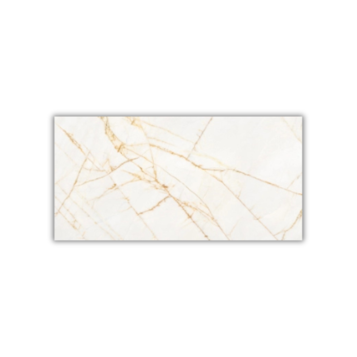 Supreme Hedonism Golden Spider - Image 6
