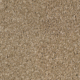 Flax