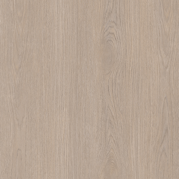 Likewise Chester Square Classical Willow Oak