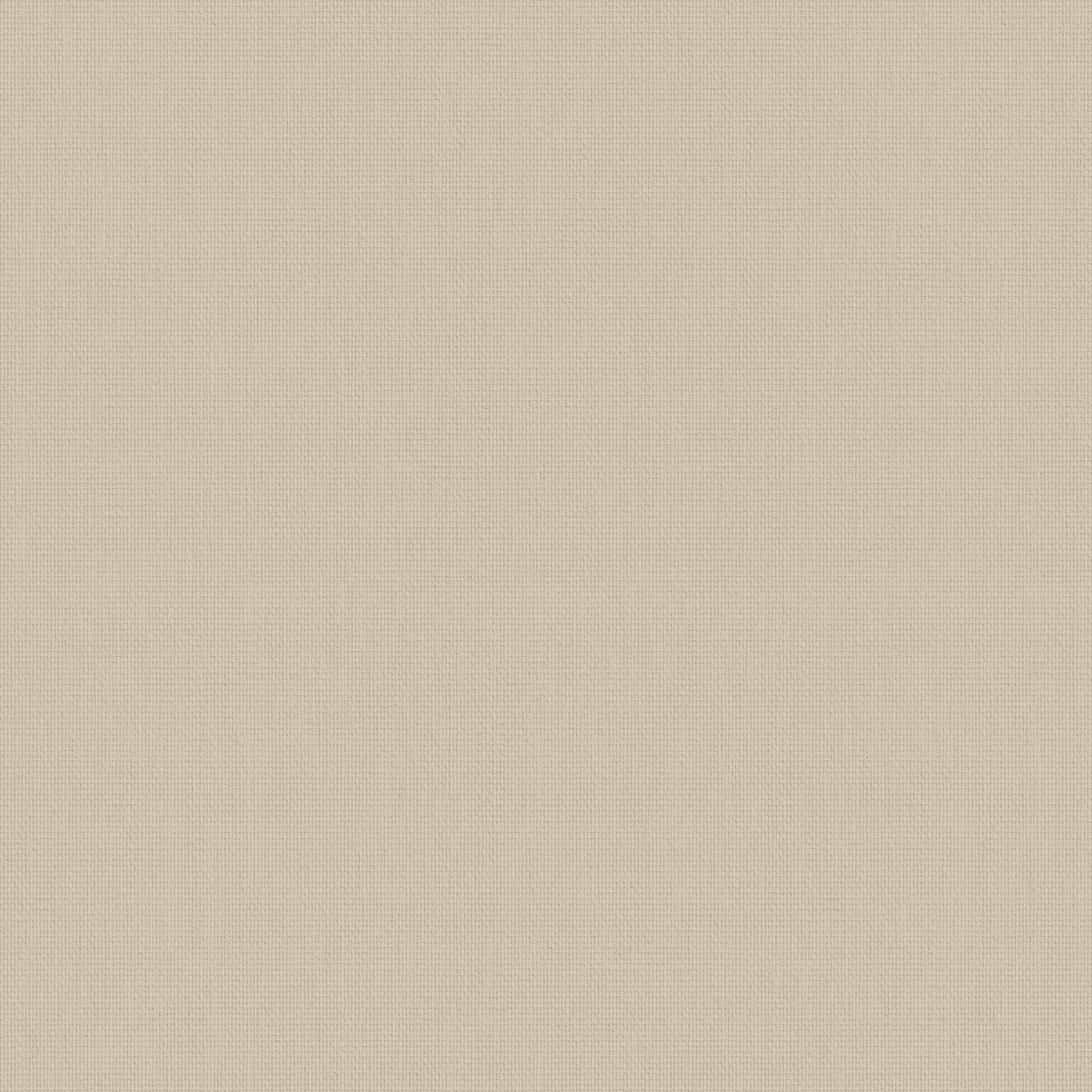 Bella Beige