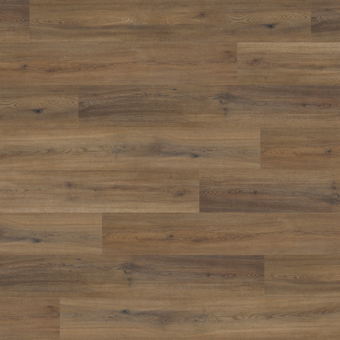 Likewise Camaro Astoria Oak