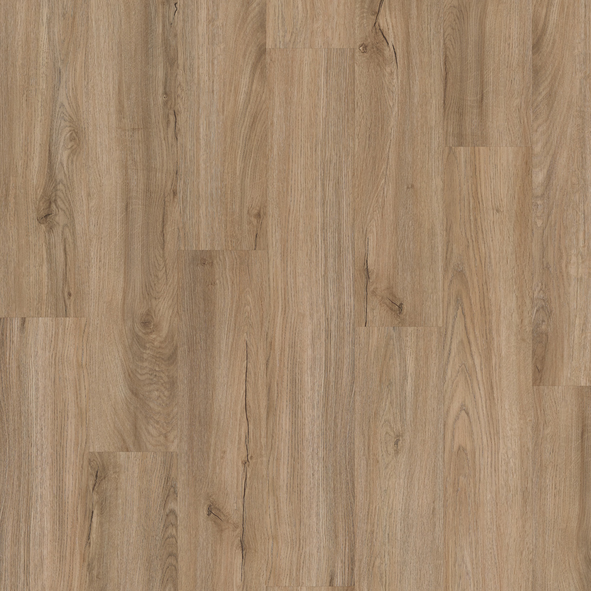 Likewise Camaro Rigid Core Hartland Oak