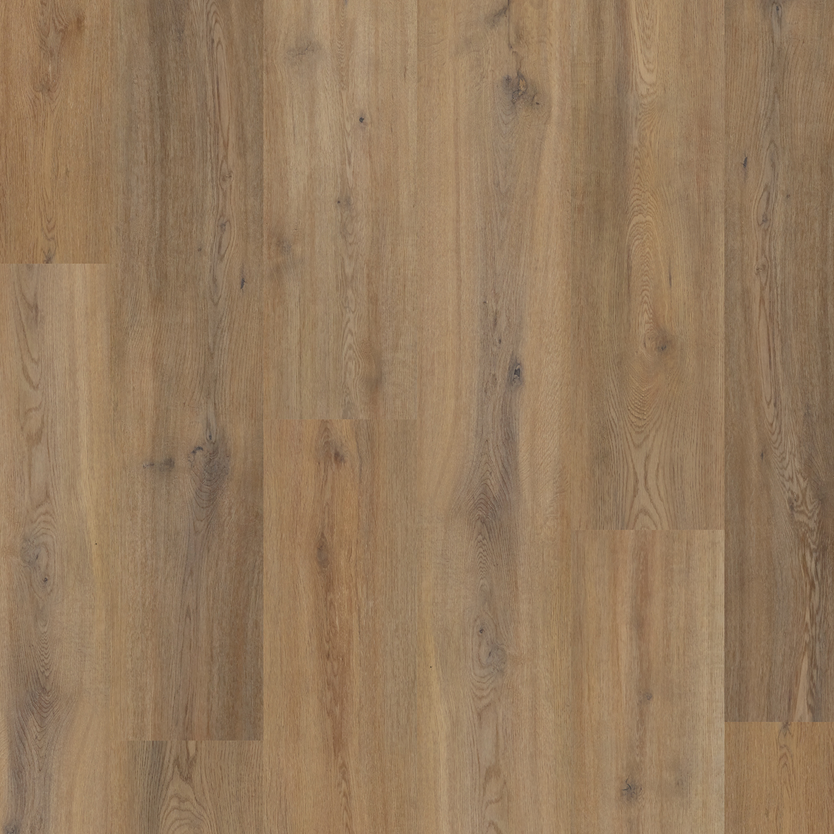 Likewise Colonia Story Oak