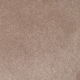 Oyster Beige