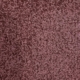 Blackcurrant Squash