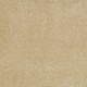 Pale Oat