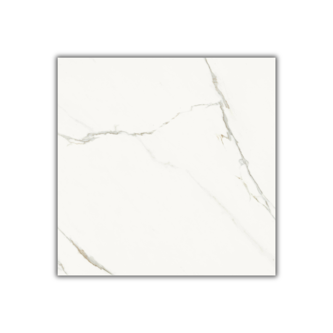 Aesthetica Statuario Extra White - Image 4