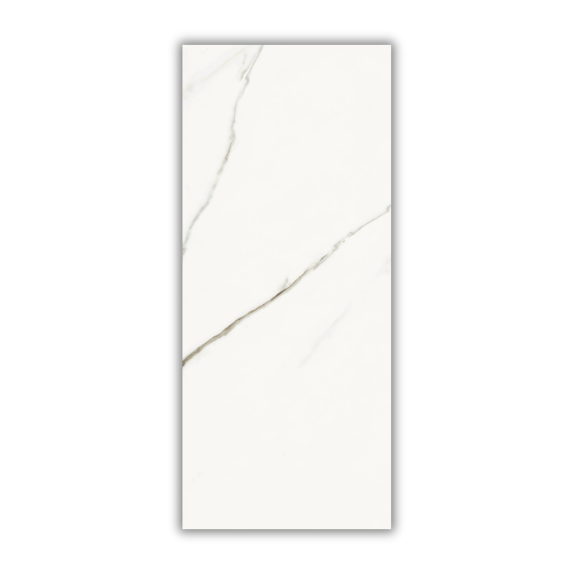 Aesthetica Statuario Extra White - Image 5