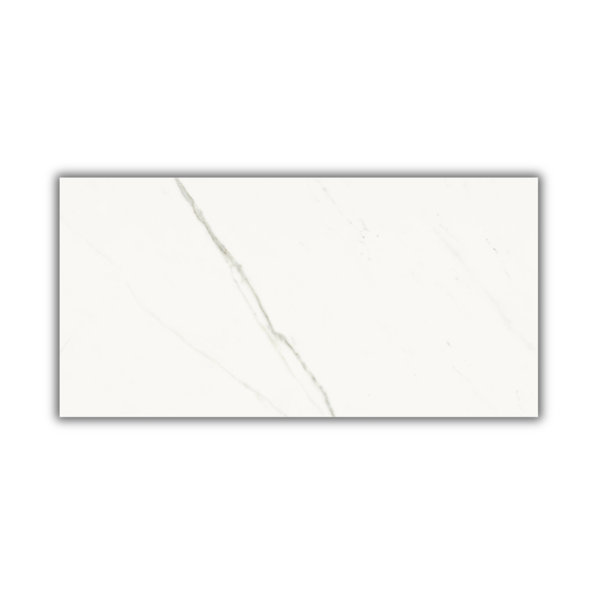 Aesthetica Statuario Extra White - Image 3