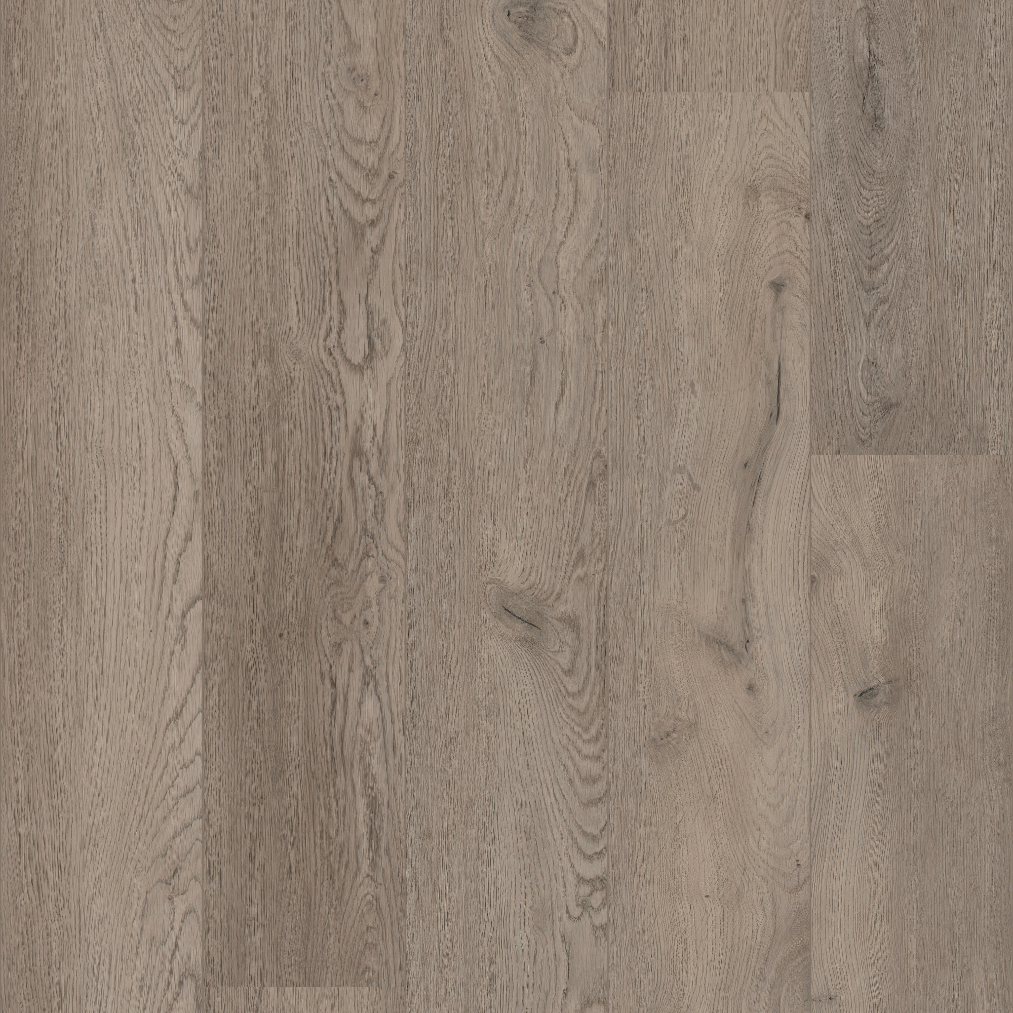 Likewise COREtec XL End Belvoir