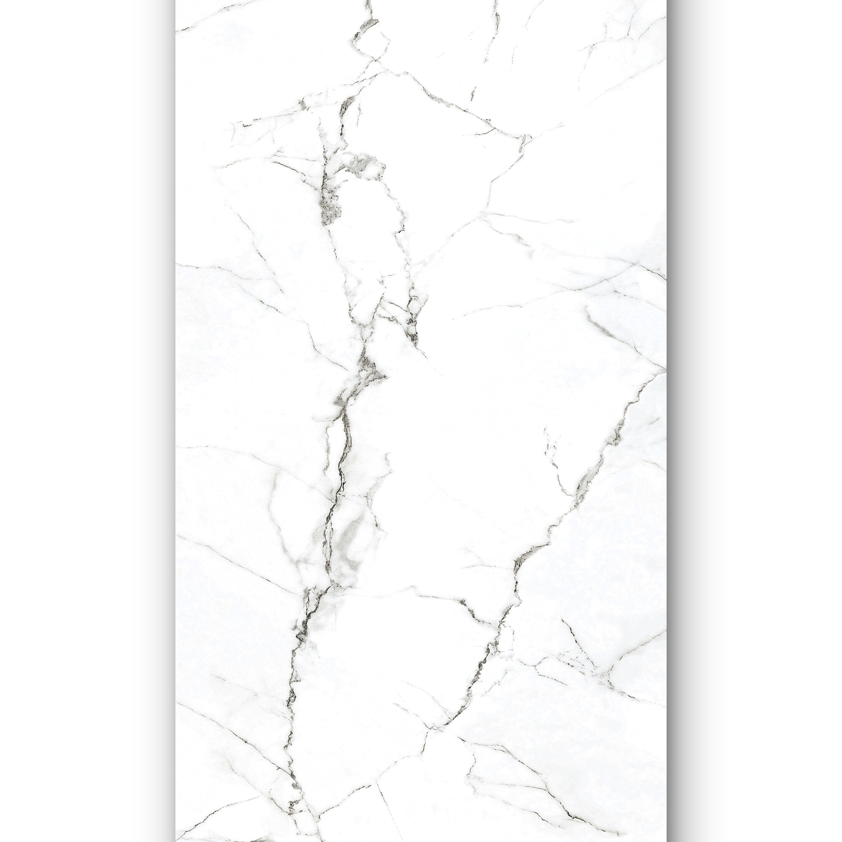 White Himalaya
