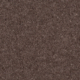 Mocha