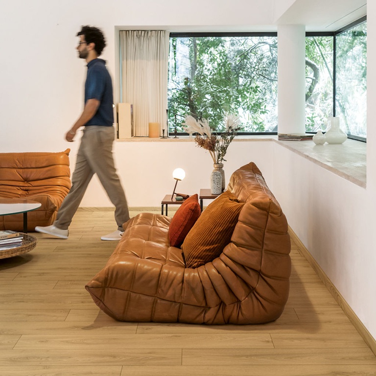 Sandy Oak - Image 2