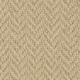 Bone